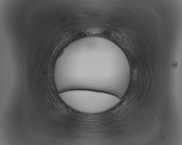 X0000097761393200803070826