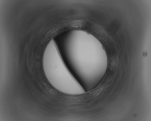X0000097761394200803070826