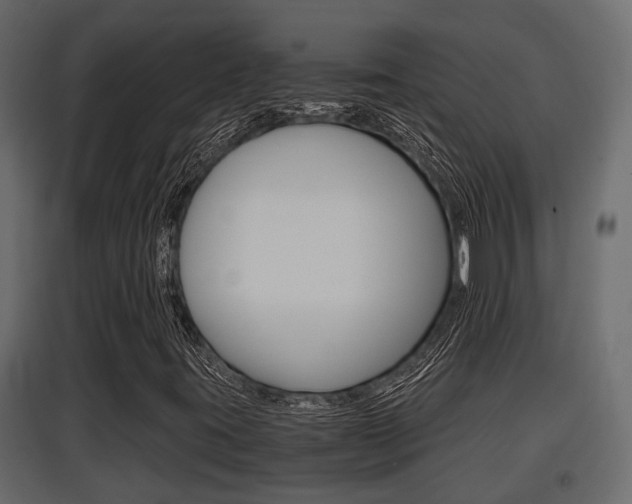 X0000097761395200803070826