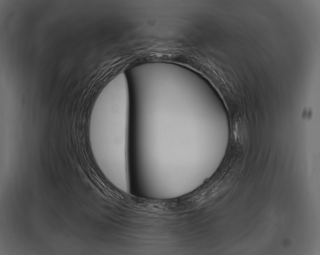 X0000097761396200803070826