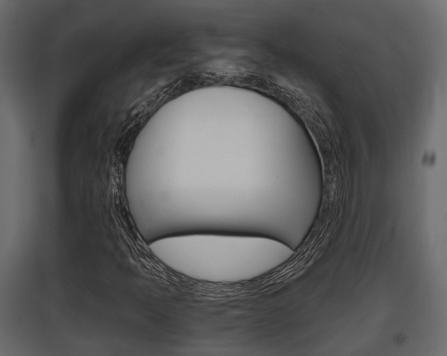 X0000097761397200803070826