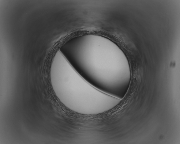 X0000097761398200803070826