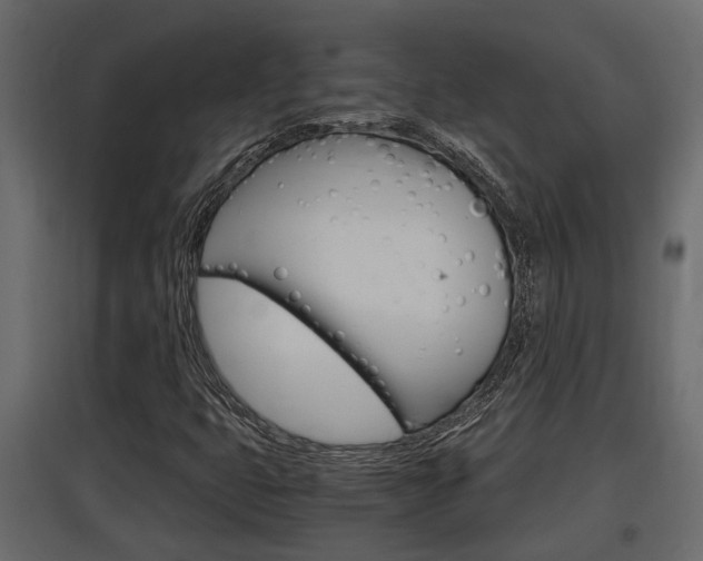 X0000097761399200803070826