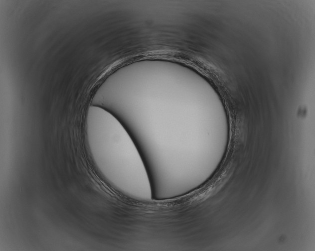 X0000097761401200803070826