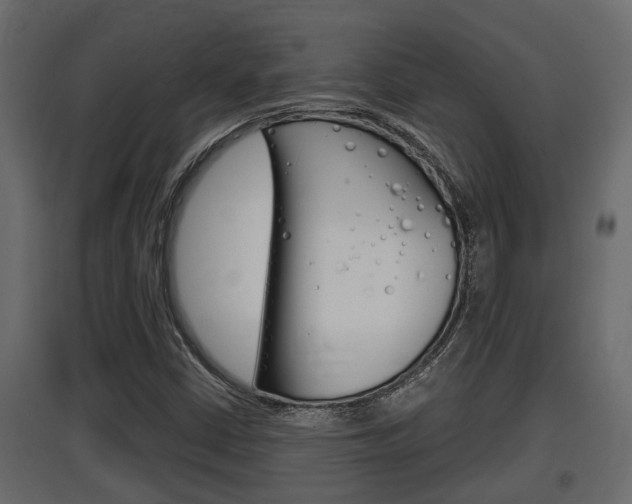 X0000097761402200803070826