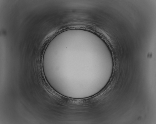 X0000097761403200803070826