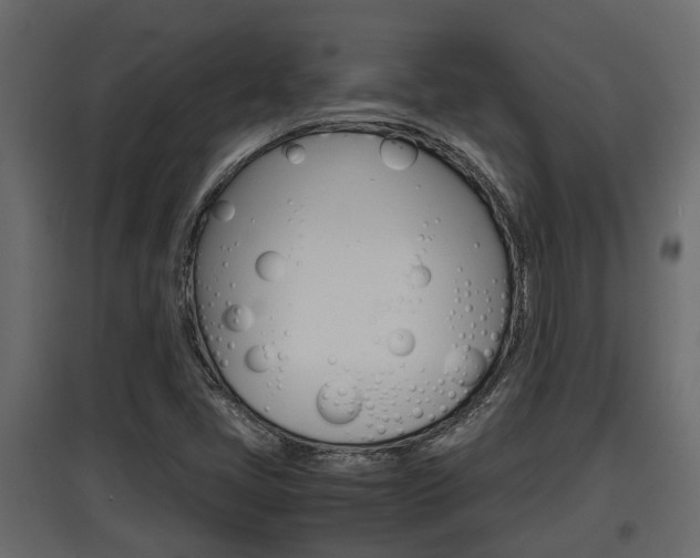 X0000097761405200803070826