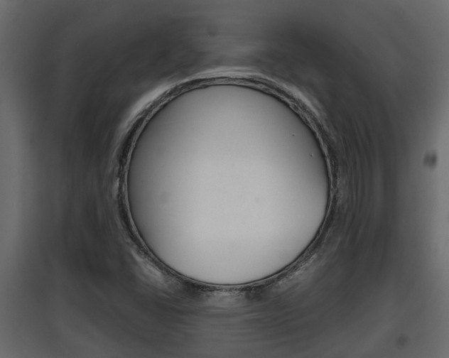 X0000097761406200803070826