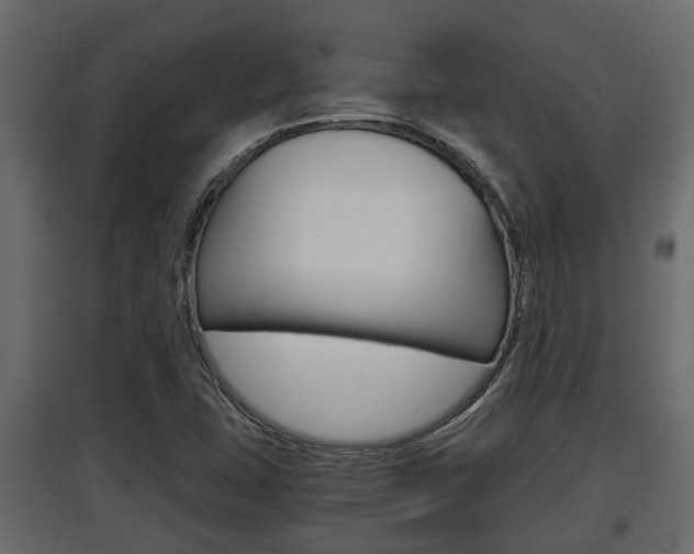 X0000097761407200803070826