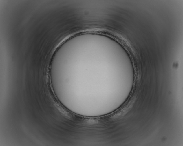 X0000097761409200803070826