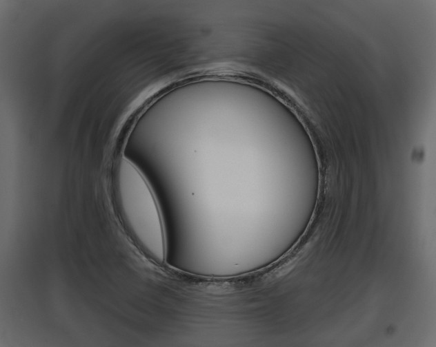X0000097761410200803070826