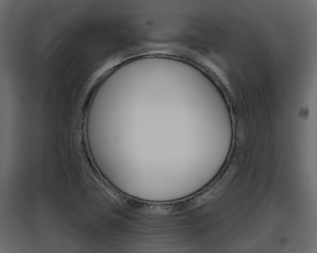 X0000097761411200803070826