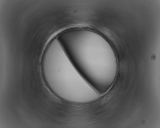 X0000097761412200803070826
