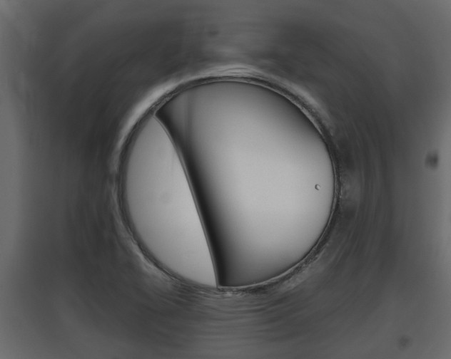 X0000097761414200803070826