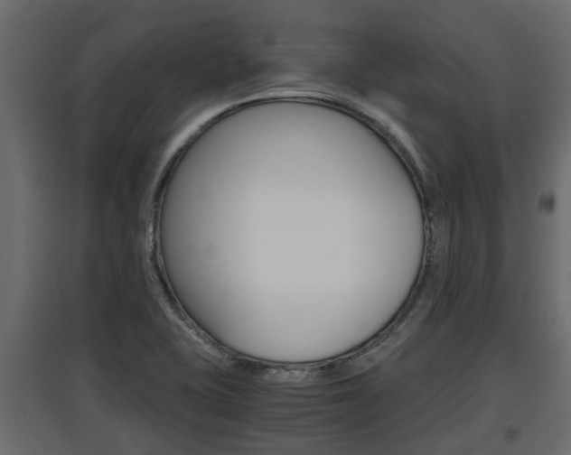 X0000097761415200803070826