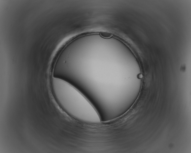 X0000097761416200803070826