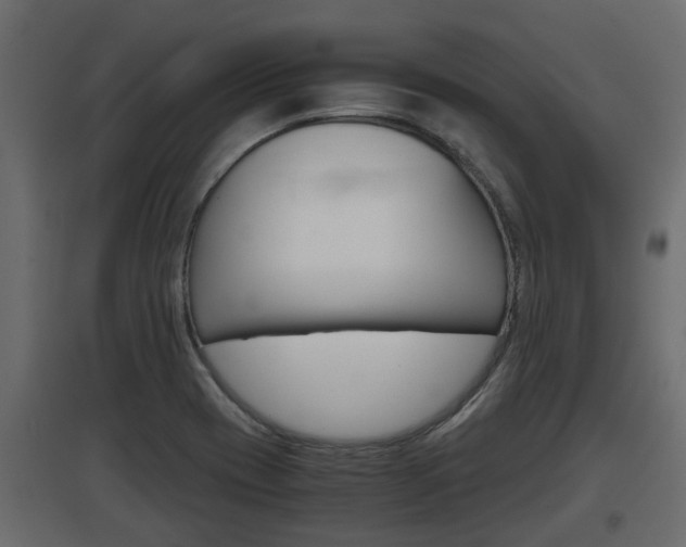 X0000097761417200803070826