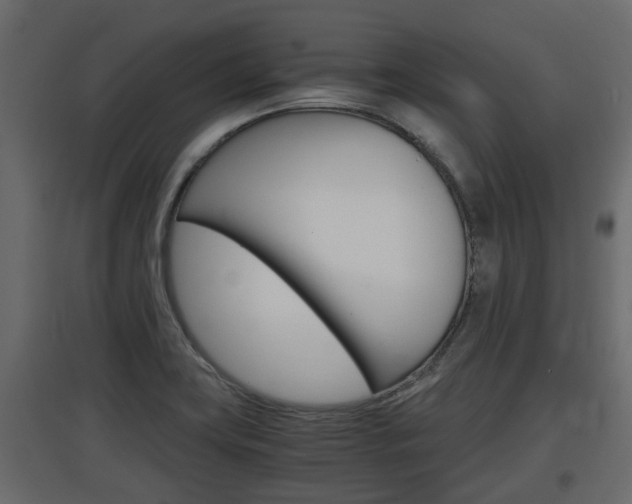 X0000097761419200803070826