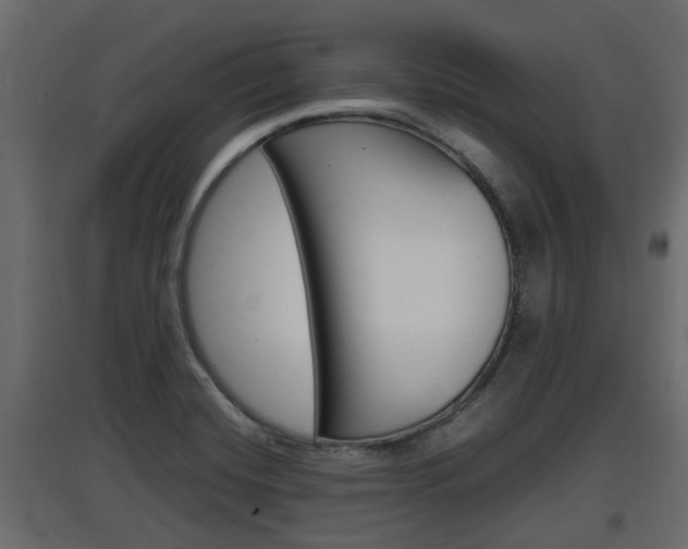 X0000097761420200803070826