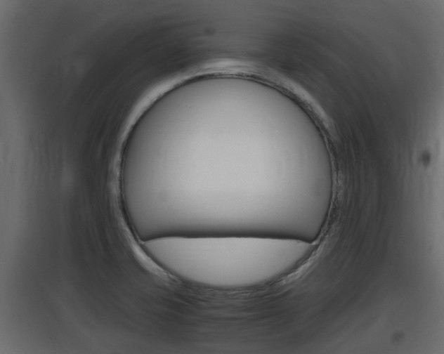 X0000097761421200803070826