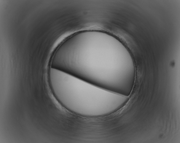 X0000097761422200803070826