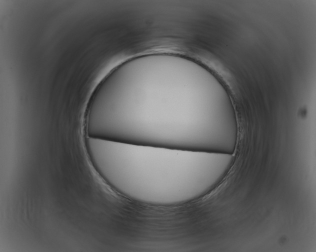 X0000097761423200803070826