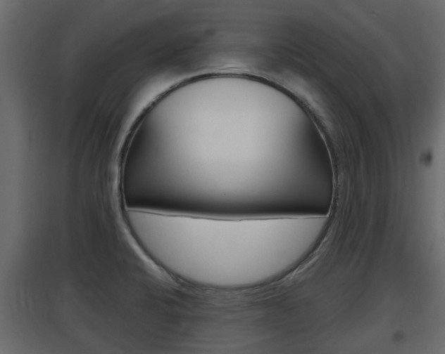 X0000097761424200803070826