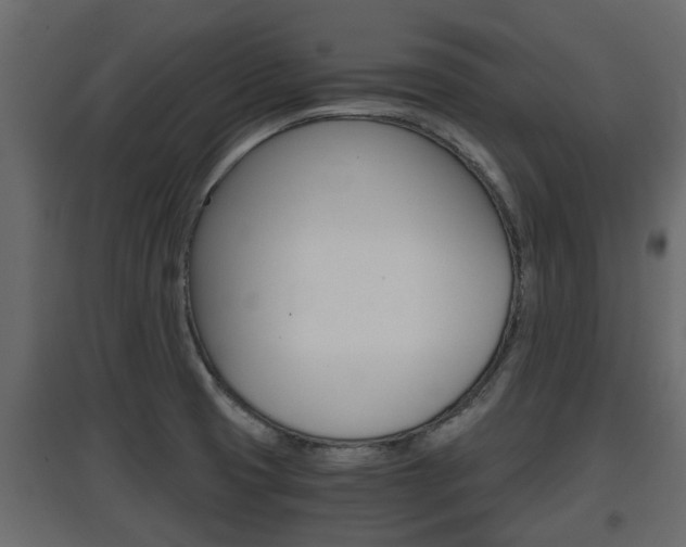X0000097761425200803070826