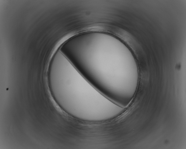 X0000097761426200803070826