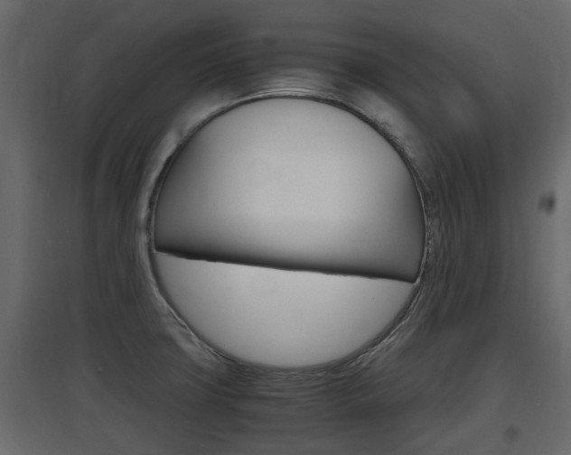 X0000097761427200803070826