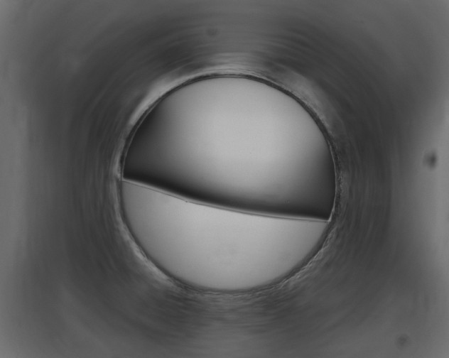 X0000097761428200803070826