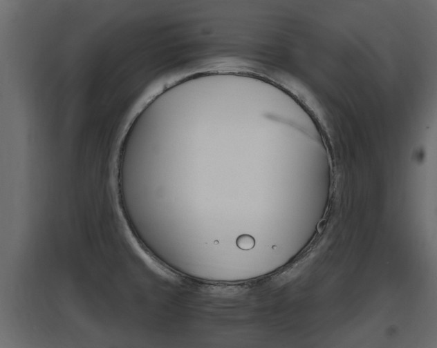 X0000097761429200803070826