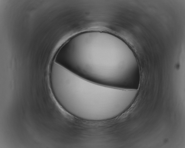 X0000097761430200803070826