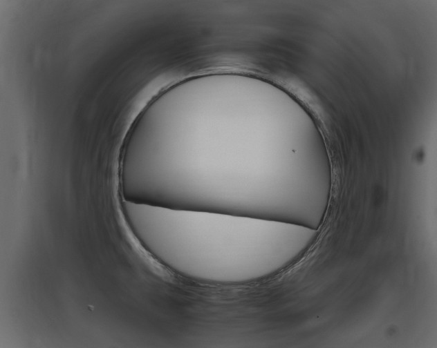 X0000097761431200803070826