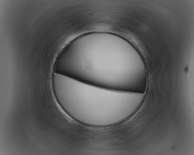 X0000097761432200803070826