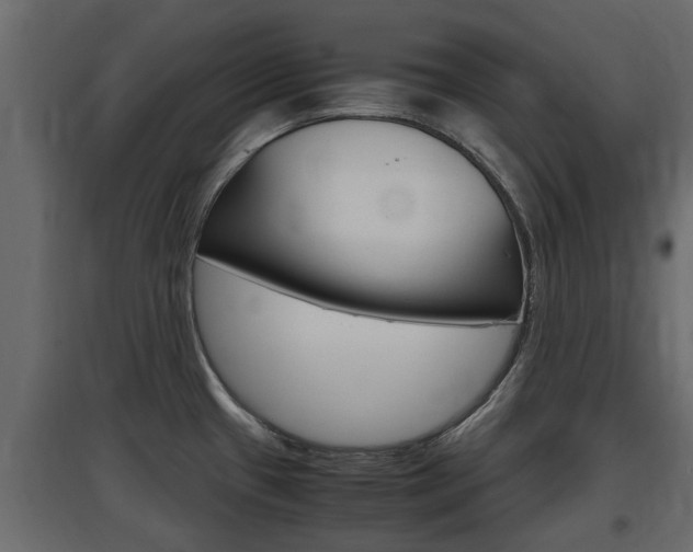 X0000097761433200803070826