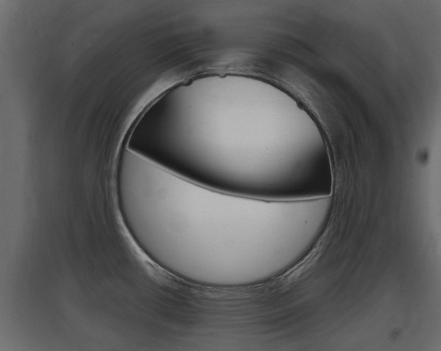 X0000097761434200803070826
