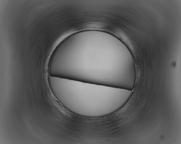 X0000097761435200803070826
