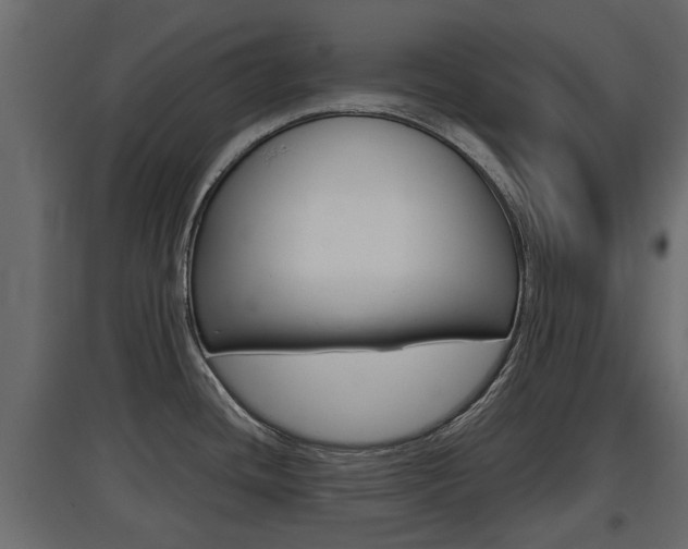 X0000097761436200803070826