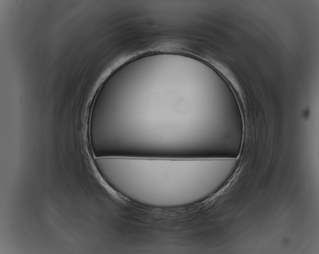 X0000097761437200803070826