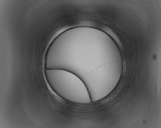 X0000097761439200803070826