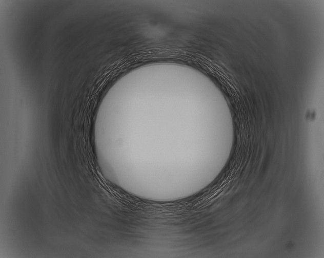 X0000097761441200803070826