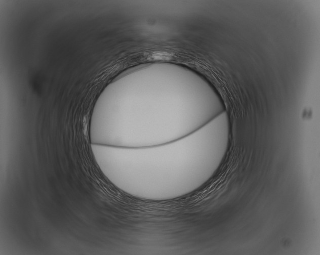 X0000097761443200803070826