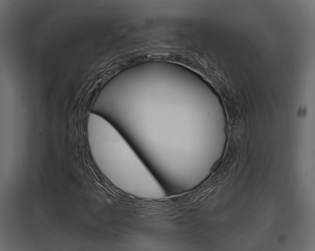 X0000097761445200803070826