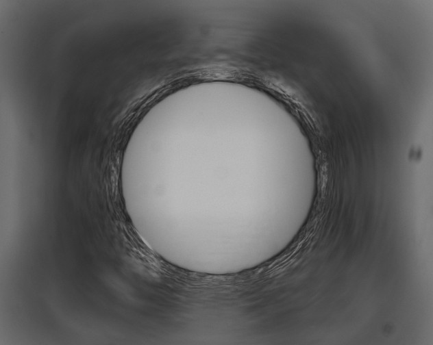 X0000097761446200803070826