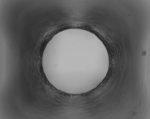 X0000097761447200803070826