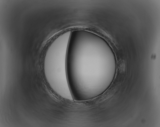 X0000097761448200803070825