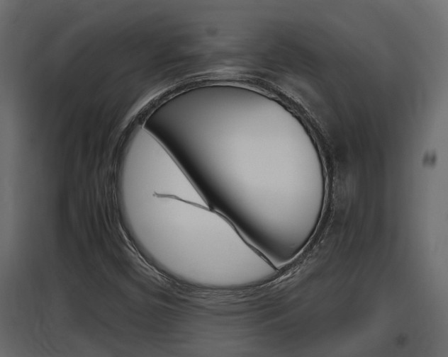 X0000097761450200803070825