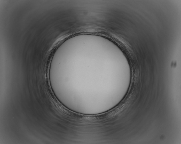 X0000097761451200803070825