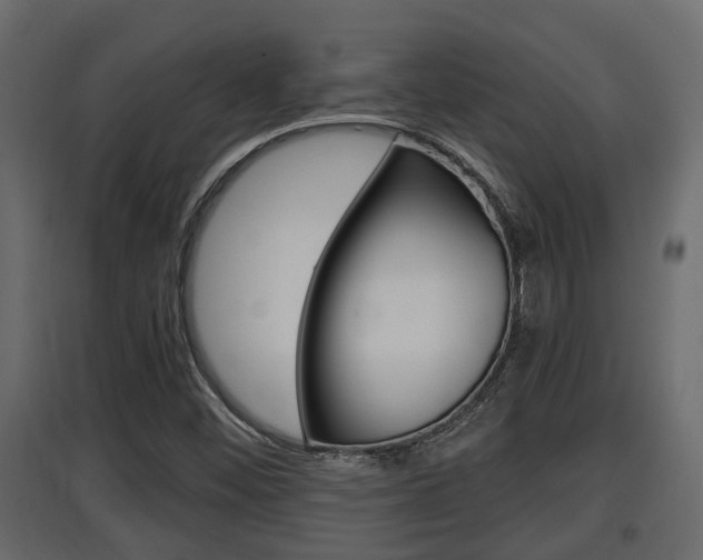 X0000097761452200803070825